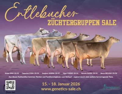 2. Entlebucher Züchtergruppen Sale Lineup 2026